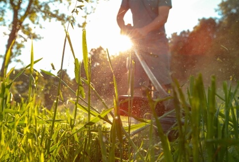 Conseils de jardinage près de Charquemont