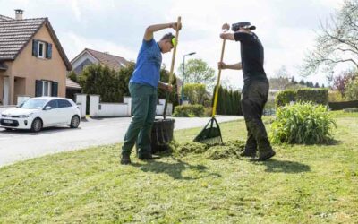 Entretien paysager à Maîche : pour un jardin flamboyant !