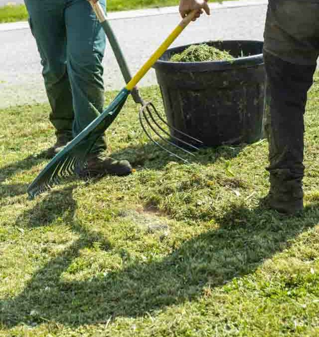 aménagement de jardin à Maîche